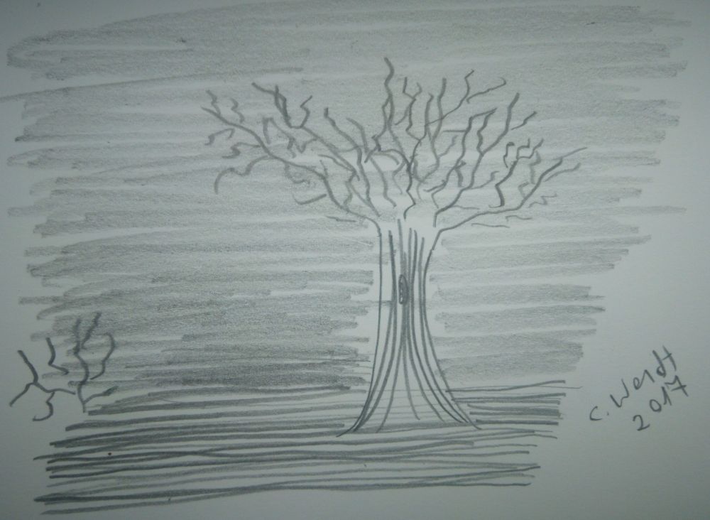 Ins Land der Dämonen