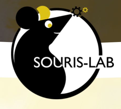 Souris-Lab Logo