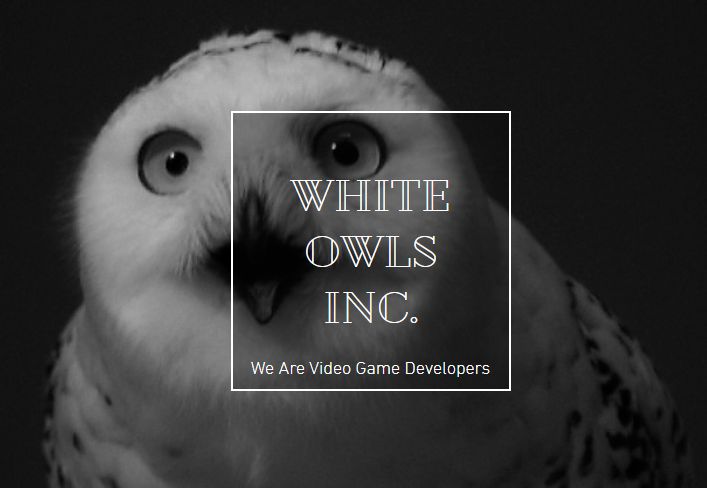 White Owls Inc.