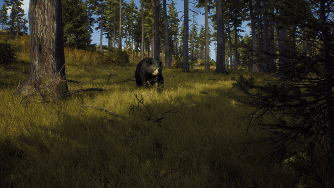 Way_of_the_Hunter_Announcement_Screenshot_BlackBear